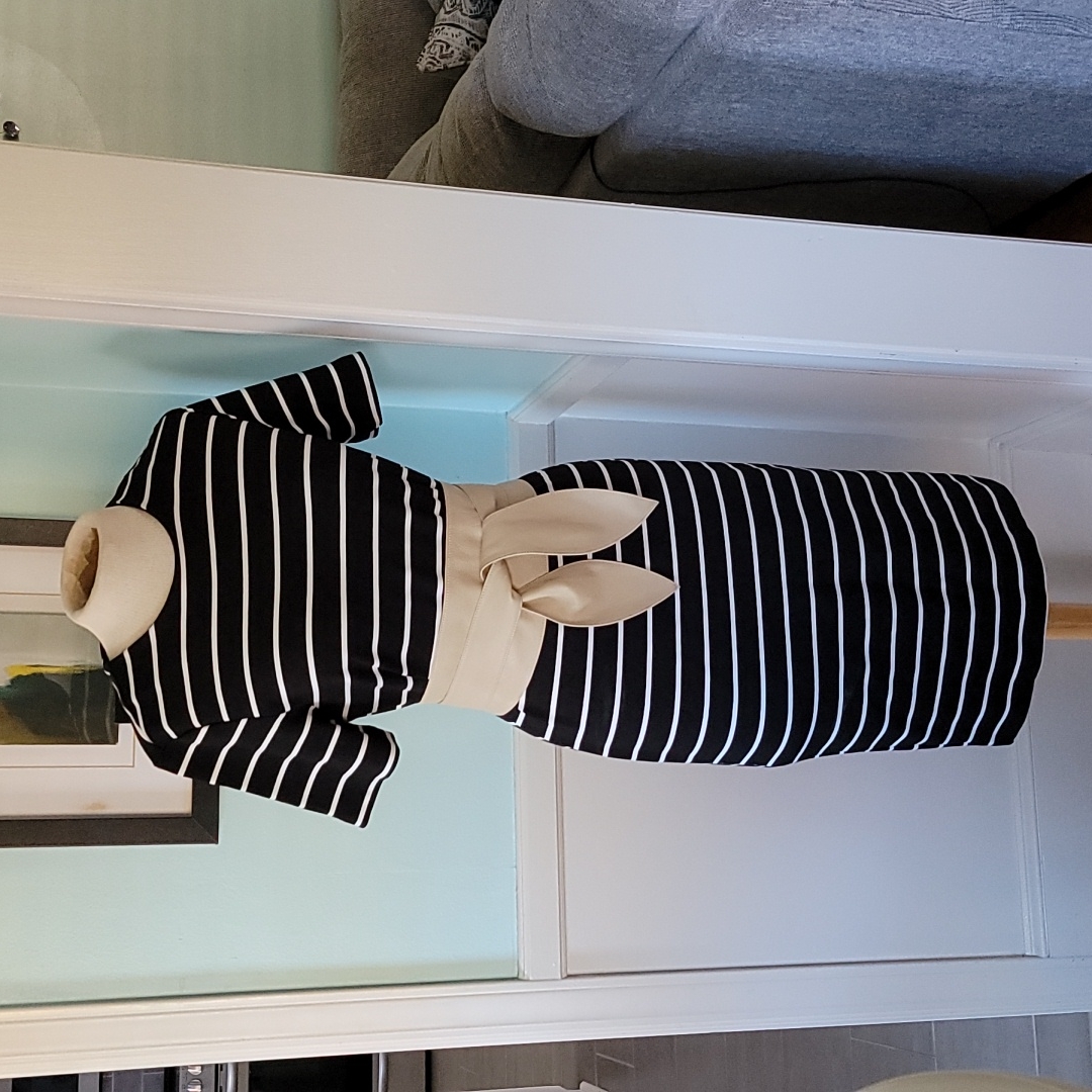 Hm Basic Stripped Dress